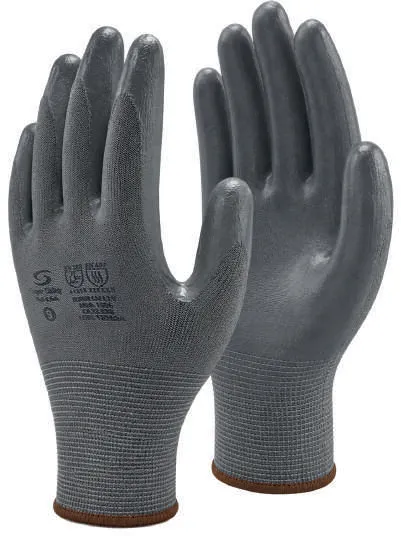SS 1006